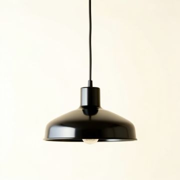 Shore Crossing Pendant Light Suspended From One Plain Cable - Black (synthetic illustration; no displayed measurements)
