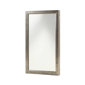 Pullout Closet Modern & Contemporary Vanity Mirror