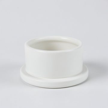 Cedar Branch Empty Candle Holder - White (synthetic illustration; no displayed measurements)