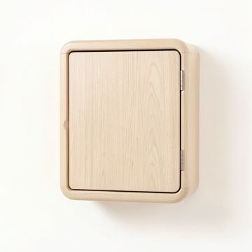 Sage Bend Wall-Mounted Laundry Cabinet - Beige (synthetic illustration; no displayed measurements)