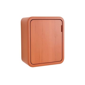Maple Dale Wall-Mounted Laundry Cabinet - Terracotta