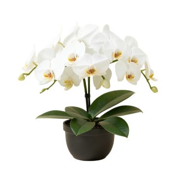 30 '' Phalaenopsis Orchid Silk Flower Arrangement -White