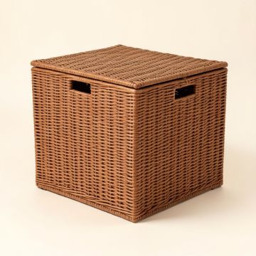 Pool Float Rattan Deck Box (synthetic illustration; no displayed measurements)