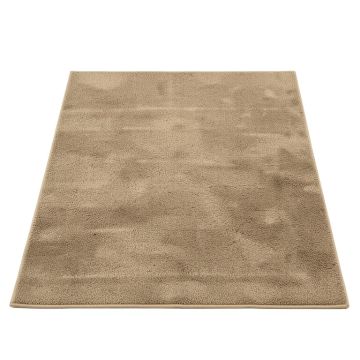 Vanauken Plum Area Rug