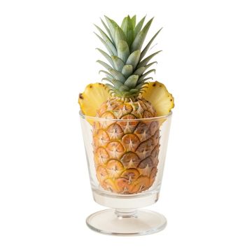 Pineapple Serving 128 Oz . Beverage Dispenser
