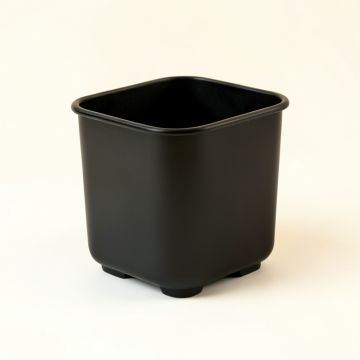 Rowan Crest Empty Raised Planter - Black (synthetic illustration; no displayed measurements)