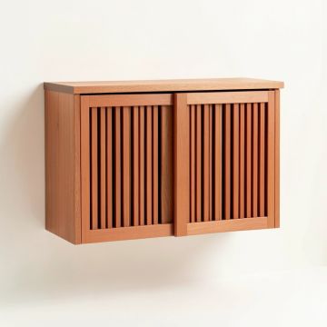 Wren Branch Wall-Mounted Entry Cabinet - Terracotta (synthetic illustration; no displayed measurements)