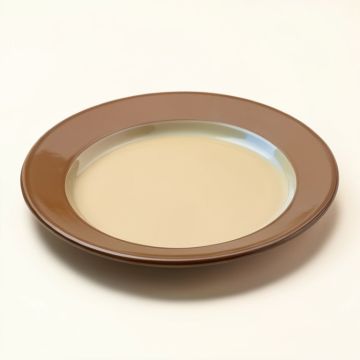 Heidi Melamine 8.25 '' Salad Plate (synthetic illustration; no displayed measurements)