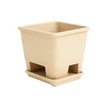 Olive Crest Empty Raised Planter - Beige