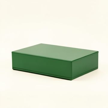 Reed Bluff Desktop Monitor Riser - Green (synthetic illustration; no displayed measurements)