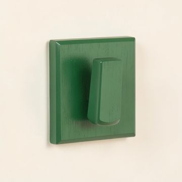 Aspen Brook Wall-Mounted Robe Hook - Green (synthetic illustration; no displayed measurements)