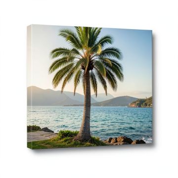 Palm Tree On The Coast (synthetic illustration; no displayed measurements)