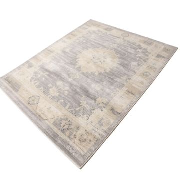Arrowood Plum Frost Cloudbreak Beige/Gray Area Rug