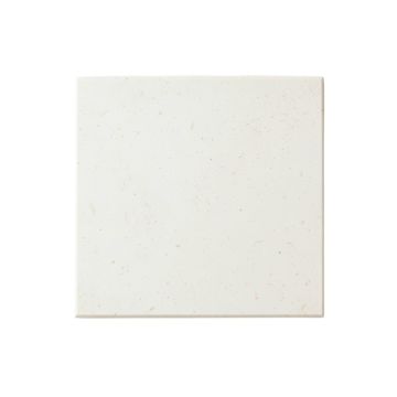 Spruce Branch Uninstalled Square Decorative Tile - White