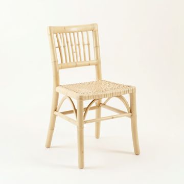Ash Dale Dining Chair - Ivory (synthetic illustration; no displayed measurements)
