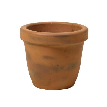Brooks Cement Pot Planter