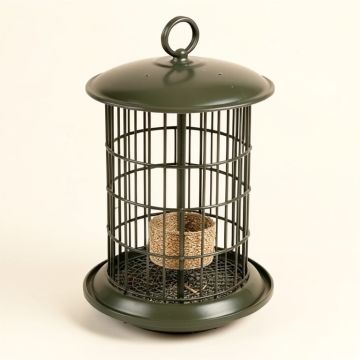 Forever 3 Quart Sunflower Nyjer/Thistle Feeder (synthetic illustration; no displayed measurements)