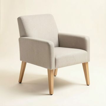 Esman Arm Chair In Clear (synthetic illustration; no displayed measurements)
