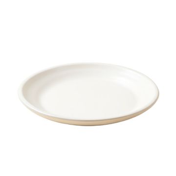 Cape Coral Shell Platter