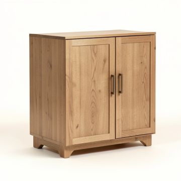 Moises 2 Door Accent Cabinet (synthetic illustration; no displayed measurements)