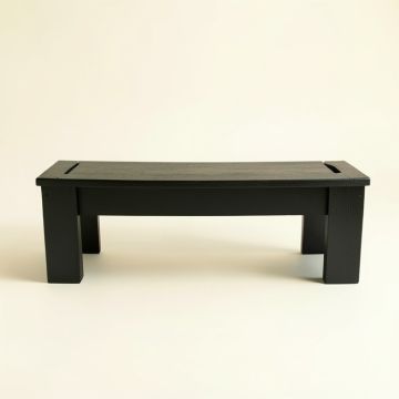Bay Canyon Narrow Outdoor Storage Bench - Black (synthetic illustration; no displayed measurements)