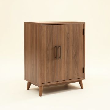Matheus 2 Door Accent Cabinet (synthetic illustration; no displayed measurements)