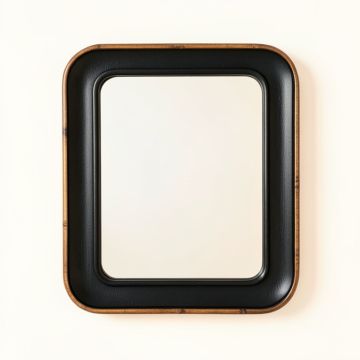 Fern Canyon Framed Wall Mirror - Black (synthetic illustration; no displayed measurements)