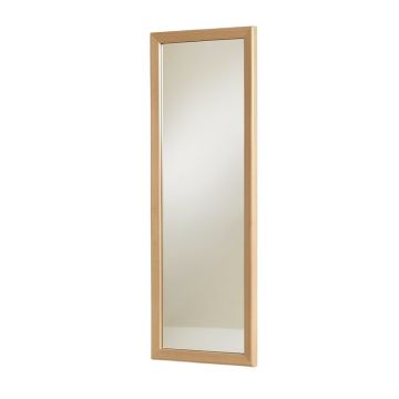 Ayrianna Modern & Contemporary Full Length Mirror