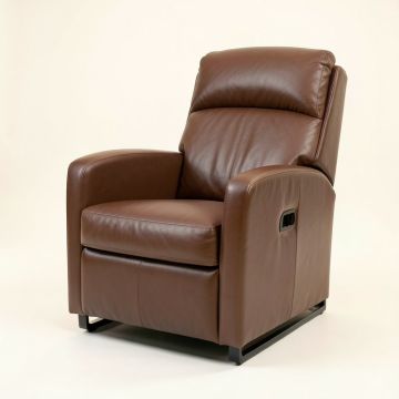 Abeeda 33.1 '' Wide Power Lift Assist Recliner (synthetic illustration; no displayed measurements)