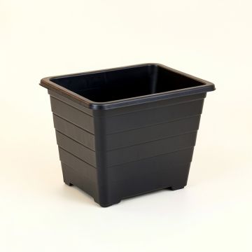Heath Arc Empty Raised Planter (synthetic illustration; no displayed measurements)