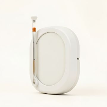 Cardinal Indoor/Outdoor Wall Clock And Thermometer (synthetic illustration; no displayed measurements)