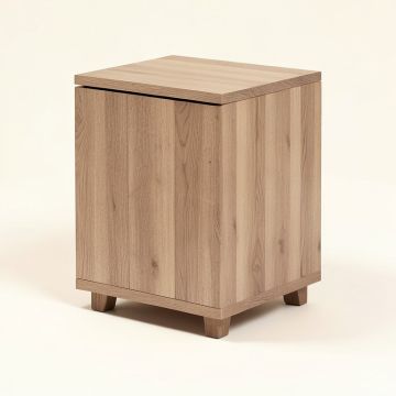 Aquasco C Table End Table With Storage (synthetic illustration; no displayed measurements)