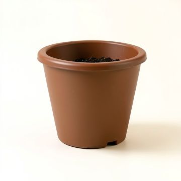 Aashi Self-Watering Plastic Elevated Planter (synthetic illustration; no displayed measurements)