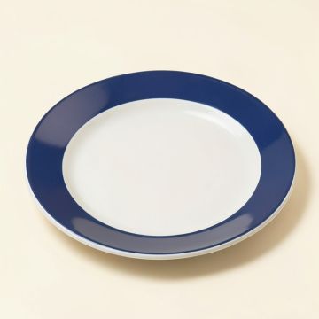 Solorio 9 '' Melamine Salad Plate (synthetic illustration; no displayed measurements)