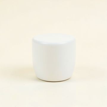 Wren Canyon Cabinet Knob Without Packaging - White (synthetic illustration; no displayed measurements)