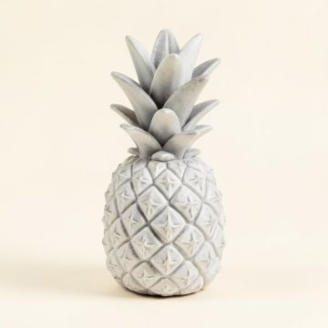 Teddy Resin Sea Shell Pineapple (synthetic illustration; no displayed measurements)