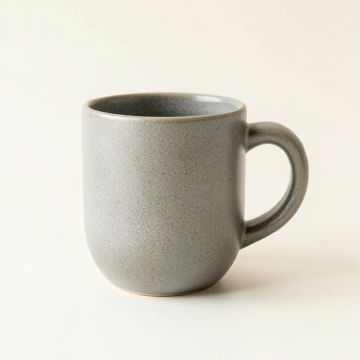 Holly Crest Ceramic Mug - Gray (synthetic illustration; no displayed measurements)