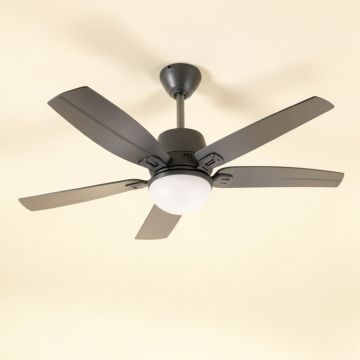 Balyeet 5 - Blade Ceiling Fan (synthetic illustration; no displayed measurements)