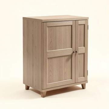 Niles 2 Door Storage Cabinet (synthetic illustration; no displayed measurements)