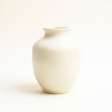 Juniper Crest Empty Decorative Vase - Cream (synthetic illustration; no displayed measurements)