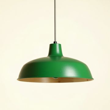 Flint Bend Pendant Light Suspended From One Plain Cable - Green (synthetic illustration; no displayed measurements)