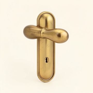 Custom Broadway Non-Turning Lever With Century Trim (synthetic illustration; no displayed measurements)