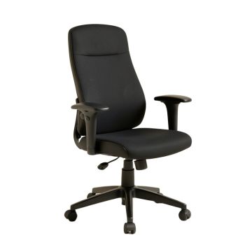 Eiladh Home Office Computer Task Chair