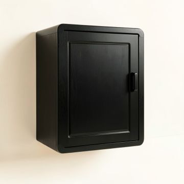 Olive Bridge Wall-Mounted Laundry Cabinet - Black (synthetic illustration; no displayed measurements)
