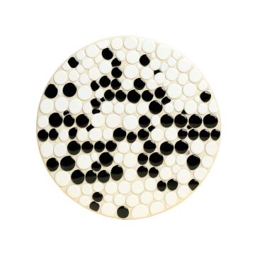0.8 '' X 0.8 '' Porcelain Penny Round Mosaic Wall & Floor Tile