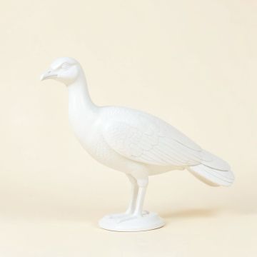 Seaver Peacock (synthetic illustration; no displayed measurements)
