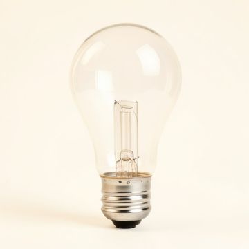 Light Bulb (synthetic illustration; no displayed measurements)