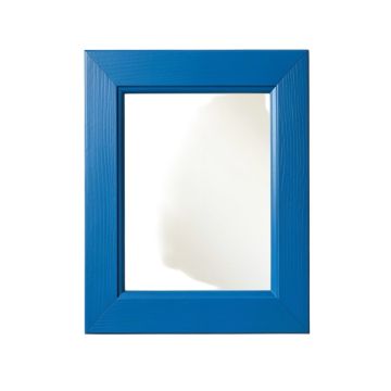 Field Branch Framed Wall Mirror - Blue