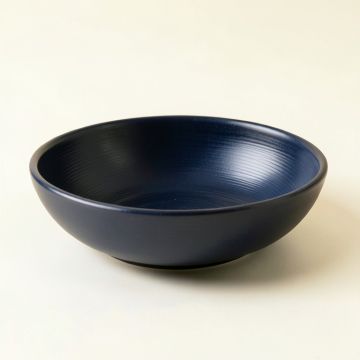 Bay Arc Dining Bowl (synthetic illustration; no displayed measurements)
