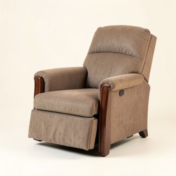 Elaynah 33.5 '' Wide Power Lift Assist Standard Recliner (synthetic illustration; no displayed measurements)